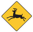 deer crossing